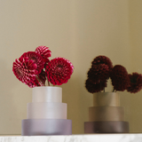 The Cylinder Vase + Cake Stand