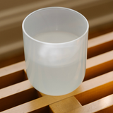 Miami Pastel Tumbler in Cool Mint
