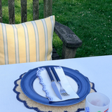 Blue Rimmed Dinner Plate