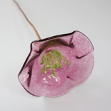 Icelandic Poppy Glass Flower in Pink