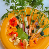 Orange Wet Serving Bowl in Large