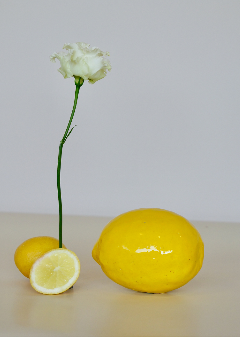 Ceramic Vegetables & Fruits