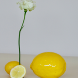 Ceramic Vegetables & Fruits