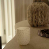 Bolle Tumbler in Medium